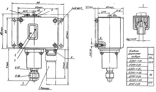 Рис.1. Габаритный чертеж датчика-реле Д21К1-1-02