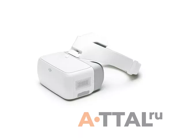 Видеоочки DJI Goggles фото 2