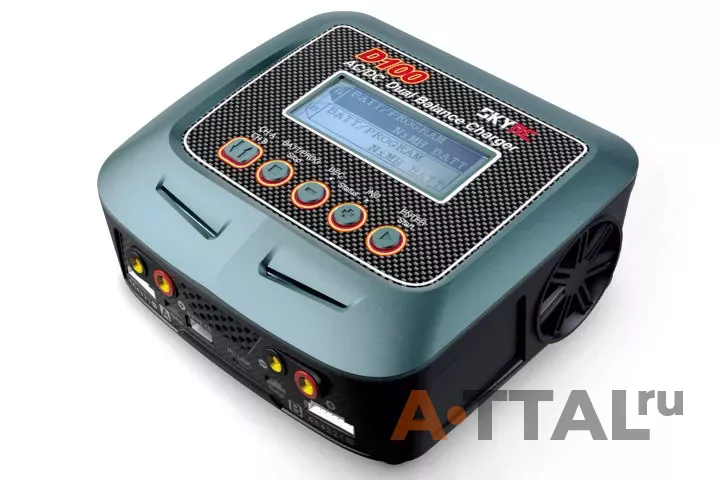 Зарядное устройство SkyRC D100 AC/DC Dual Balance фото 3
