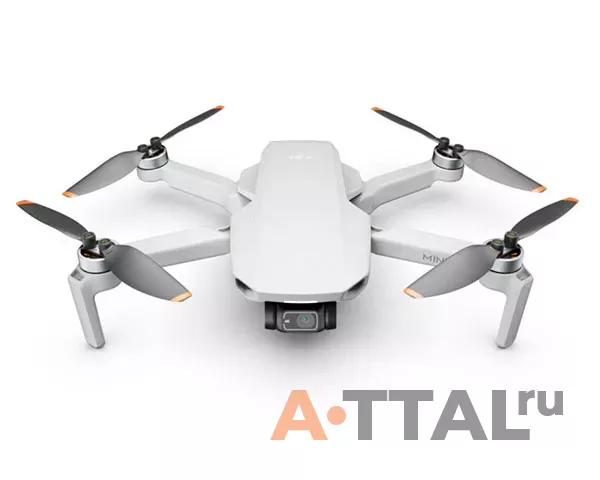 Квадрокоптер DJI Mini 2 фото 1