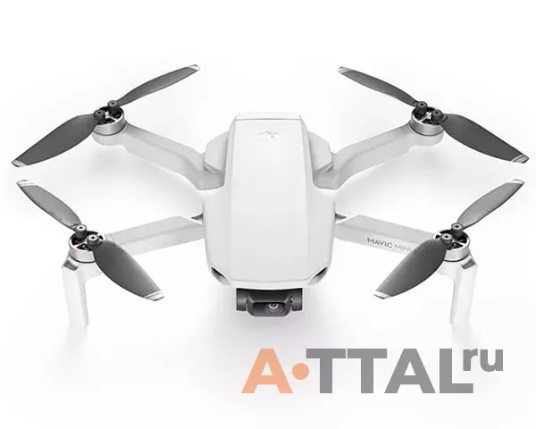 Квадрокоптер DJI Mavic Mini фото 1