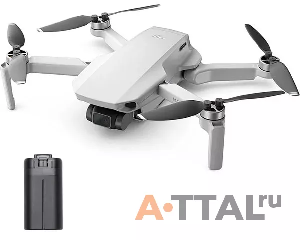 Квадрокоптер DJI Mavic Mini c двумя аккумуляторами фото 1