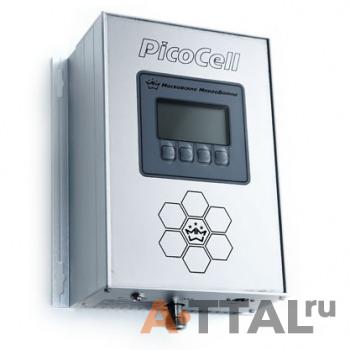 Picocell SXL 900 фото