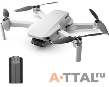 Квадрокоптер DJI Mavic Mini c двумя аккумуляторами фото