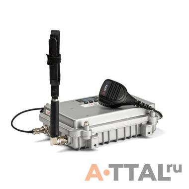 Терек РТ-2800 DMR фото